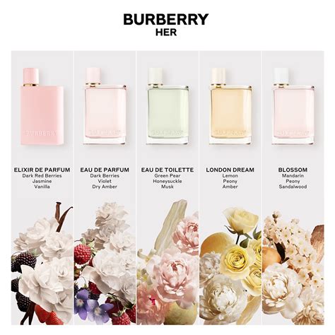 perfume burberry berry|what does burberry smell like.